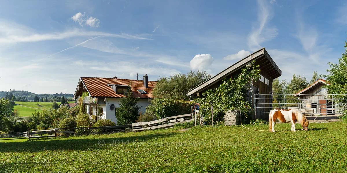 Pony auf dem Koppel neben dem Reiterhof von Theresia Burger in Waltenhofen-Herzmans am Niedersonthofener See im Oberallgäu, fotografiert von Kees van Surksum Businessfotografie Kaufbeuren und München.