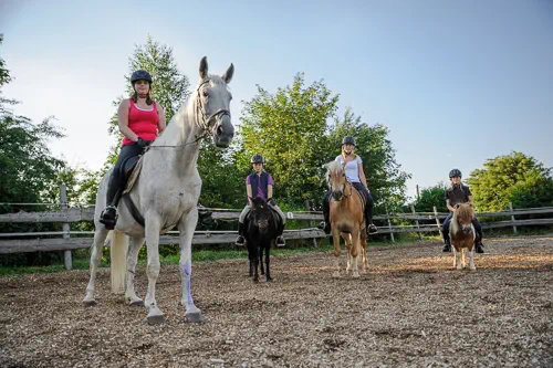 Kinder und Teenager reiten auf Pony und Pferd in der Manege von Reiterhof Theresia Burger in Waltenhofen-Herzmans im Oberallgäu, fotografiert von Kees van Surksum Businessfotografie Kaufbeuren und München