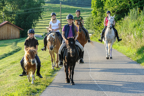 Ausritt vom Reiterhof Theresia Burger mit Pferden und Ponys, Kindern und Erwachsenen am Niedersonthofener See